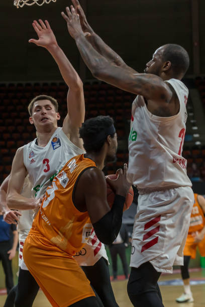 从黄蜂的角 从黄蜂的角