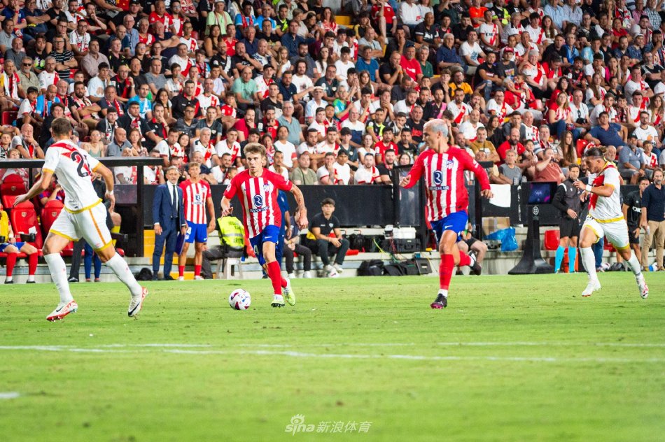 是教练组对 是教练组对